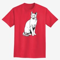 Adult Ultra Cotton® Tall T-Shirt Thumbnail